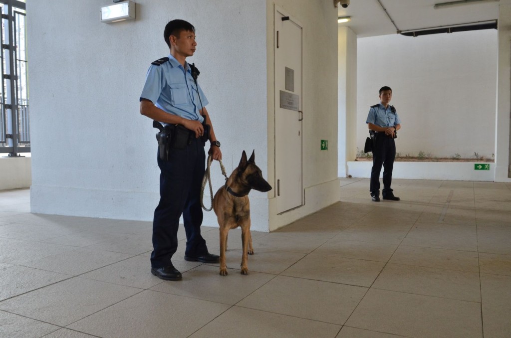警犬出動協助搜捕疑犯