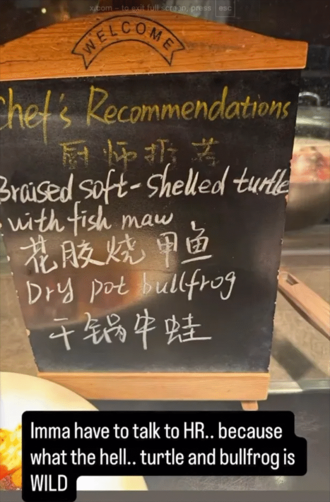 唐莘拍片惡意批評中國菜。網上圖片
