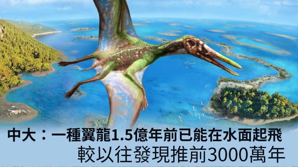 中大圖片