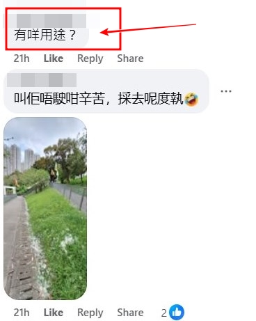 facebook截圖（資料來源：Serene Fu＠facebook青衣街坊吹水會）