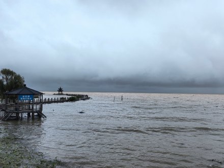 台风“白海豚”为多地带来暴雨。微博@紫陌X纤尘