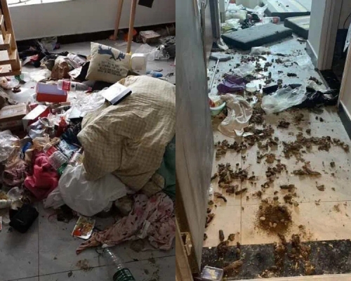 女租客留下滿地垃圾後不辭而別。網圖