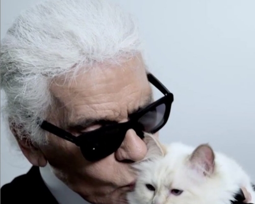 老佛爺與其愛貓Choupette。Choupette IG