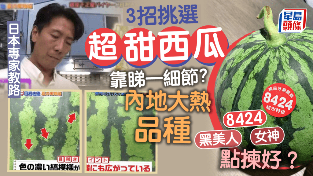 日本專家教3招目測挑選超甜西瓜 西瓜品種8424/黑美人/女神如何分辨？