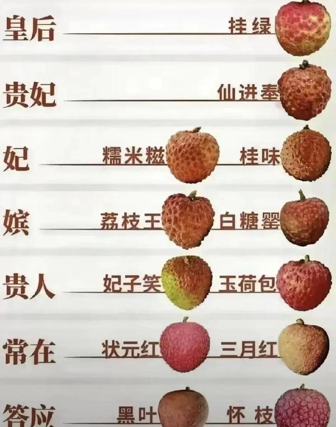 網民對不同品種的荔枝的分級。小紅書