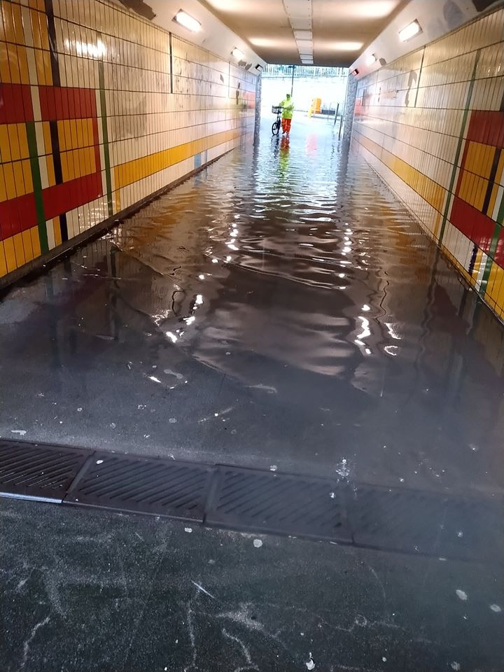 fb「Tai Po 大埔」網民Ying Ying圖片