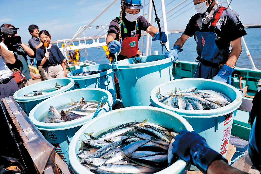日本福岛县渔民们正在卸载近海拖网捕捞的海鲜。