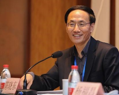 外交部部長助理陳曉東。網圖