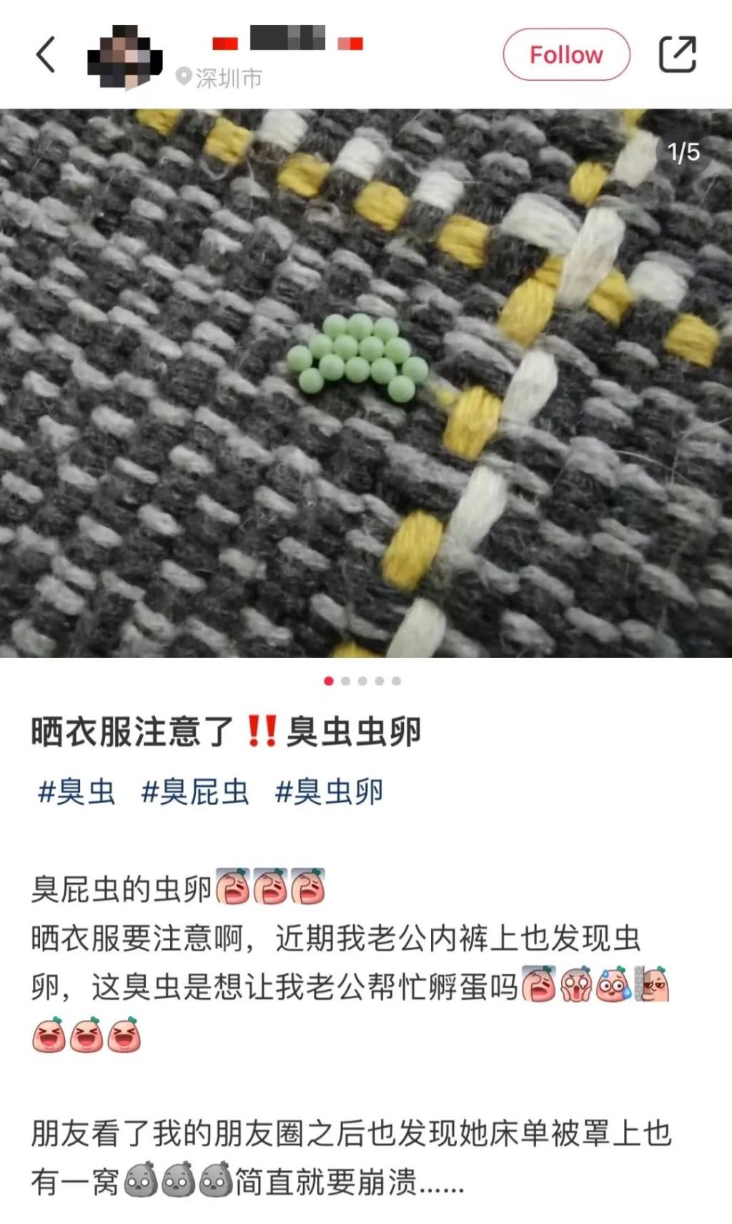 深圳市民發文稱遇上衣服黏綠色小顆粒。