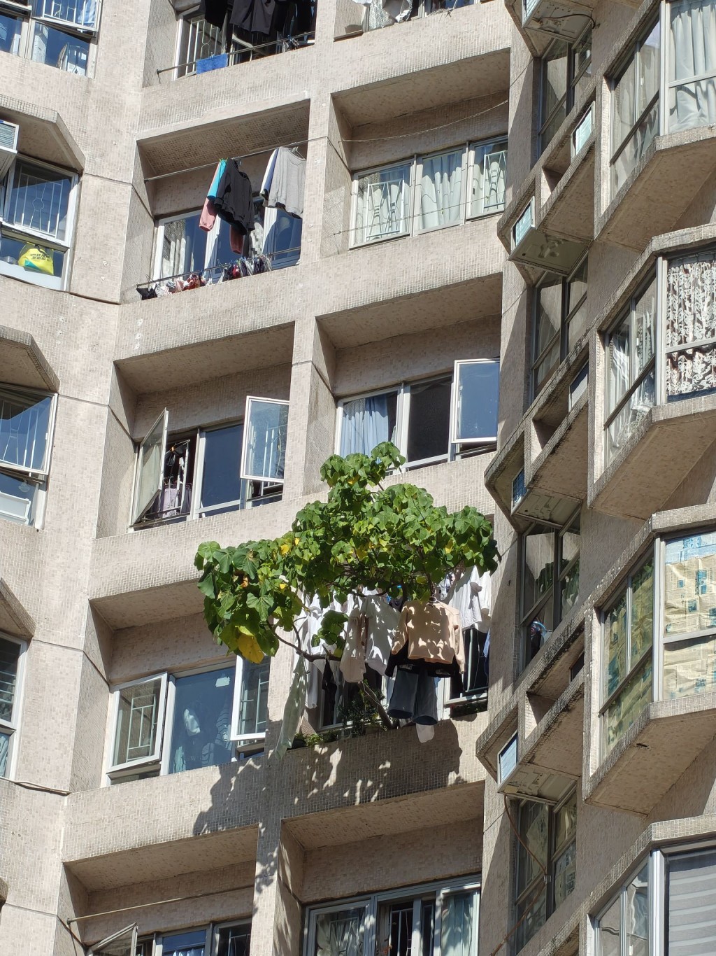 有人貼出另一個單位情況,直言「更誇張」。 有人貼出另一個單位情況,直言「更誇張」。