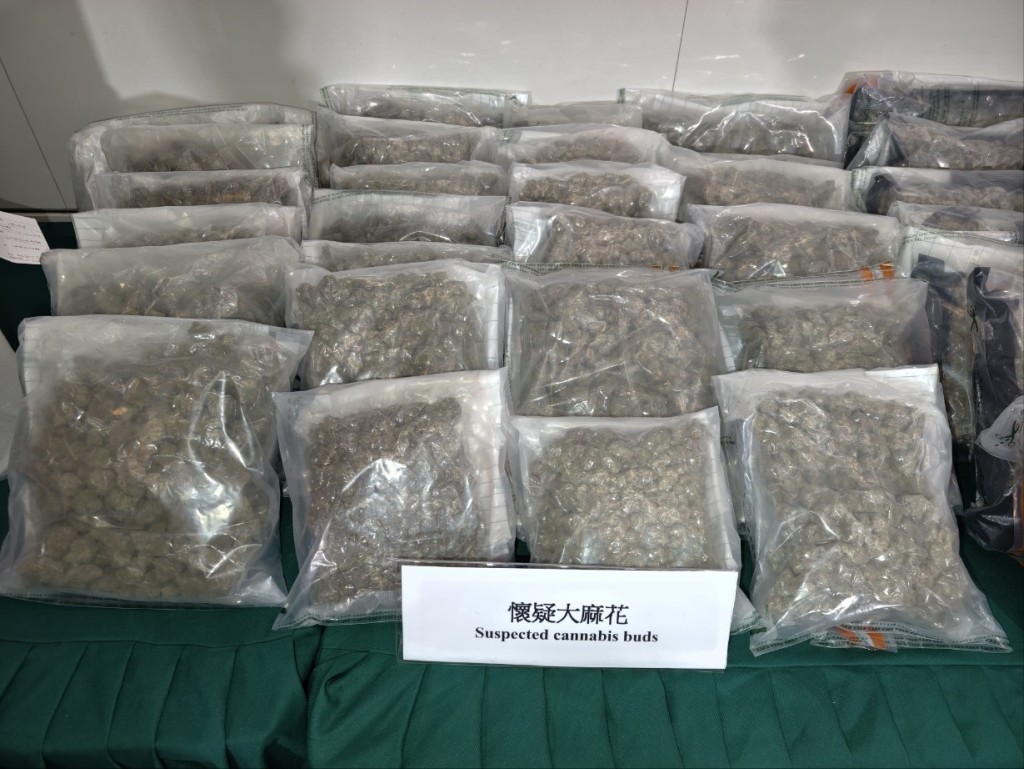 涉案一批大麻花。 涉案一批大麻花。