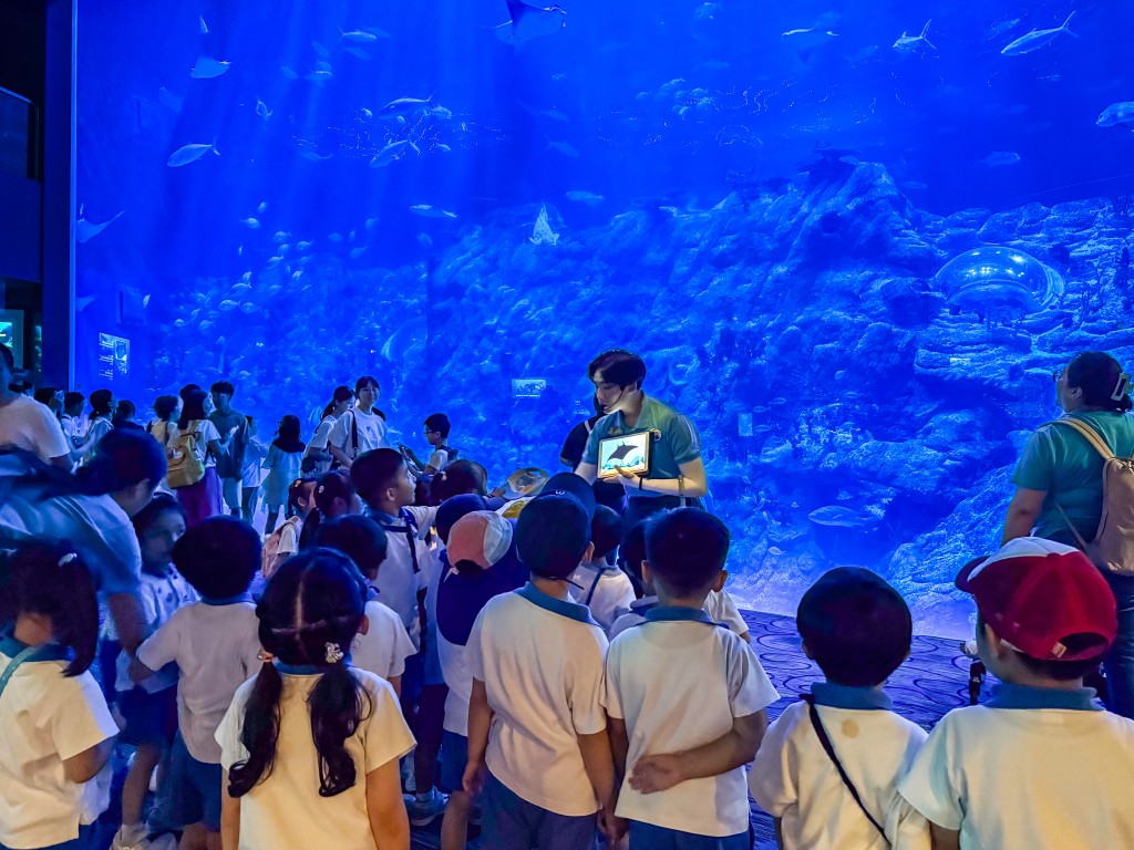 在海洋公園的參觀活動中，小朋友有機會認識不同的海洋生物，感受蒼藍深海的魅力！