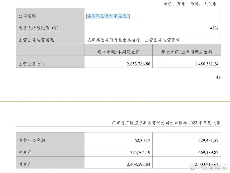 廣新集團年報將子公司名稱寫「那要不住哥哥家裏吧~」。