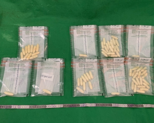 估計市值約八十一萬元。政府新聞處圖片