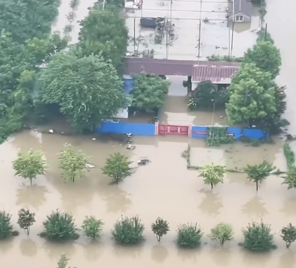 河南多地暴雨破纪录，南阳启动防汛一级应急响应。