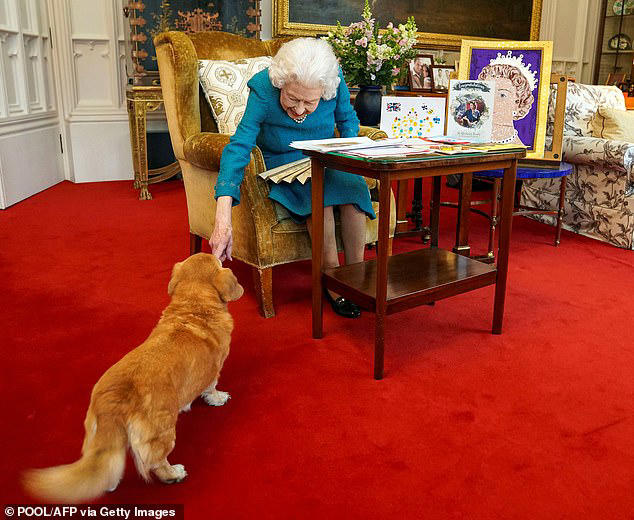 英女皇生前特別喜歡狗狗。