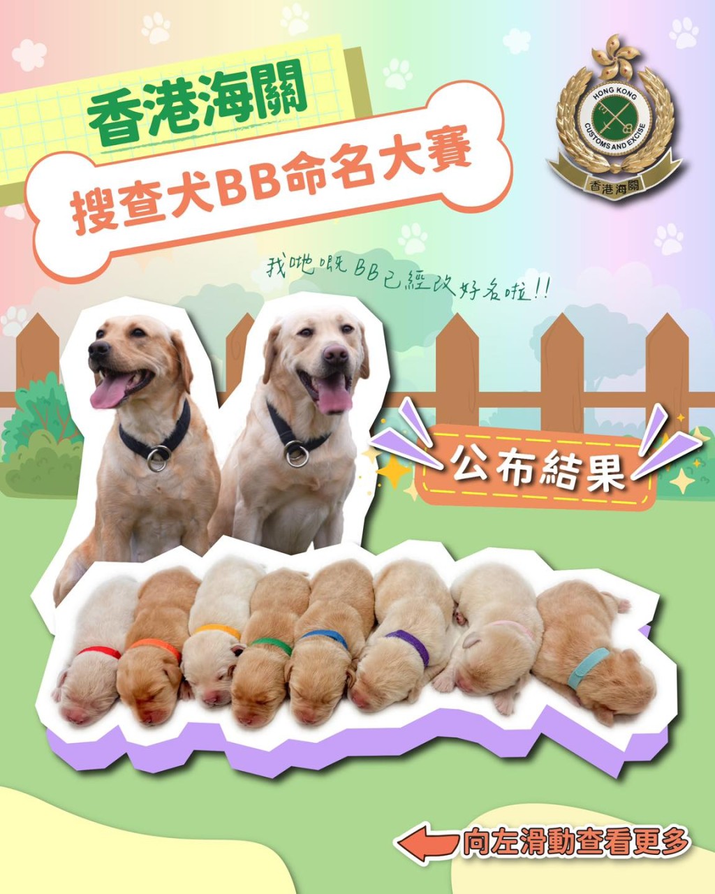 幼犬將以「Champion(冠軍)」一詞的字母作為名字開首。海關FB圖片 幼犬將以「Champion(冠軍)」一詞的字母作為名字開首。海關FB圖片