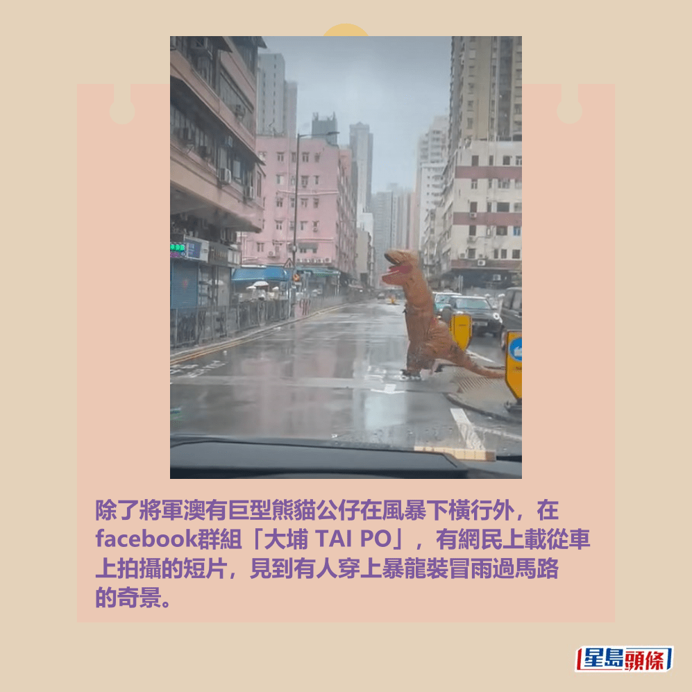 除了將軍澳有巨型熊貓公仔在風暴下橫行外，在 facebook群組「大埔 TAI PO」，有網民上載從車 上拍攝的短片，見到有人穿上暴龍裝冒雨過馬路 的奇景。fb「大埔 TAI PO」截圖