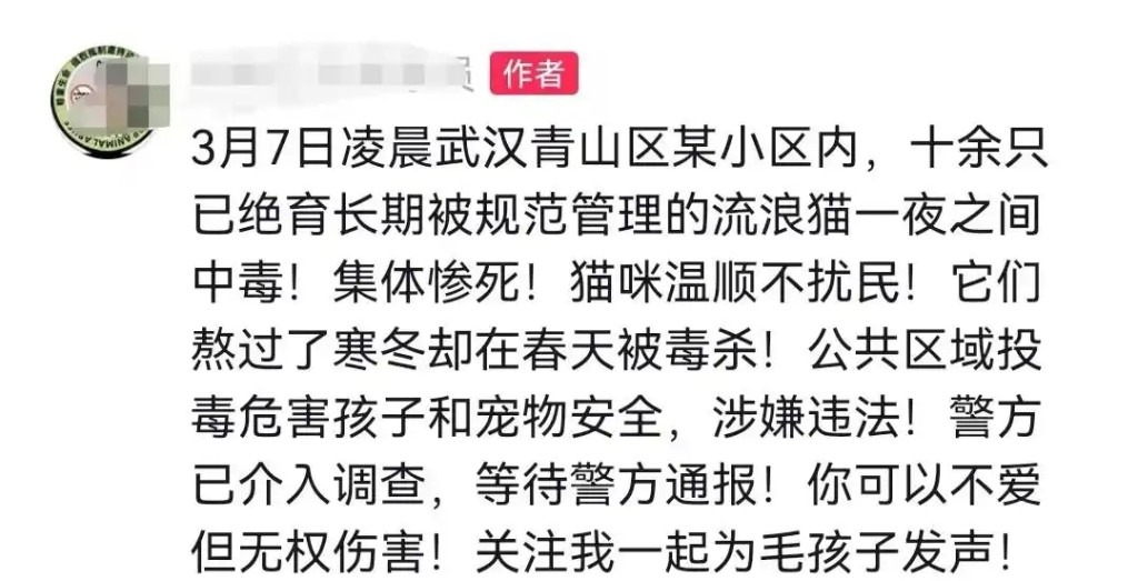 網友發文。