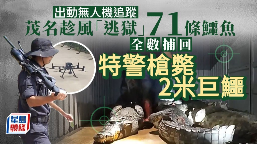 經過8日搜捕,所有在逃鱷魚全部捉回或被殺。