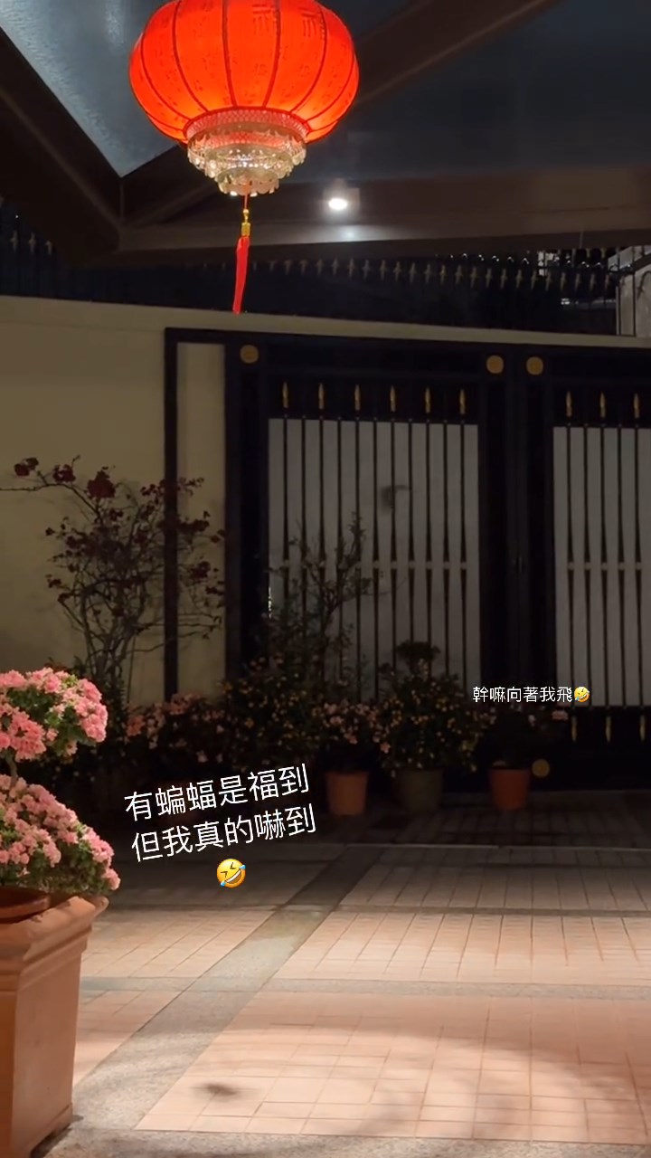 片中可見何超蓮正在家門前拍攝，前方是家中的大閘。