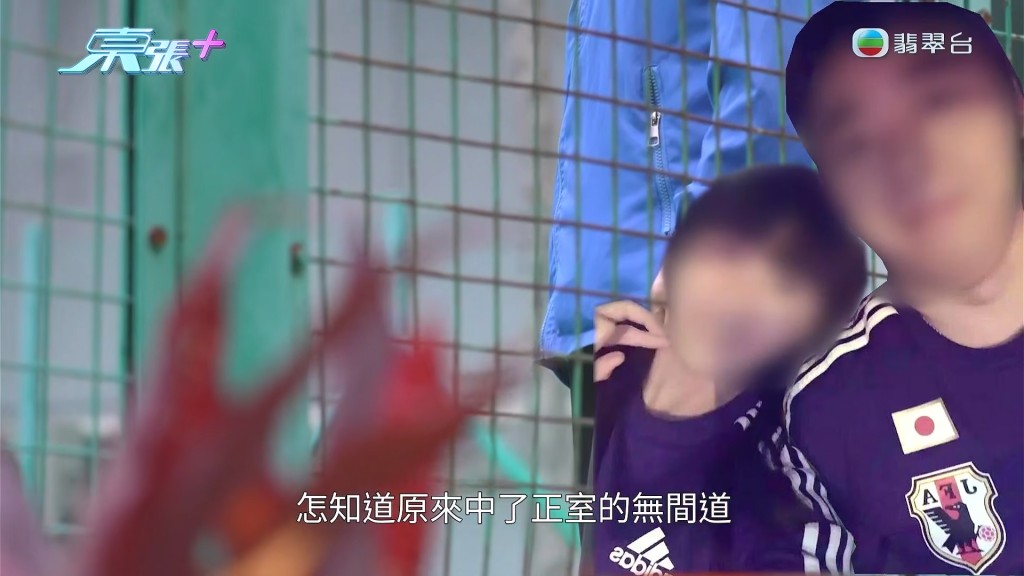 本以為追求的是真愛，楊小姐卻沒料到自己竟中了正室布下的「無間道」局。