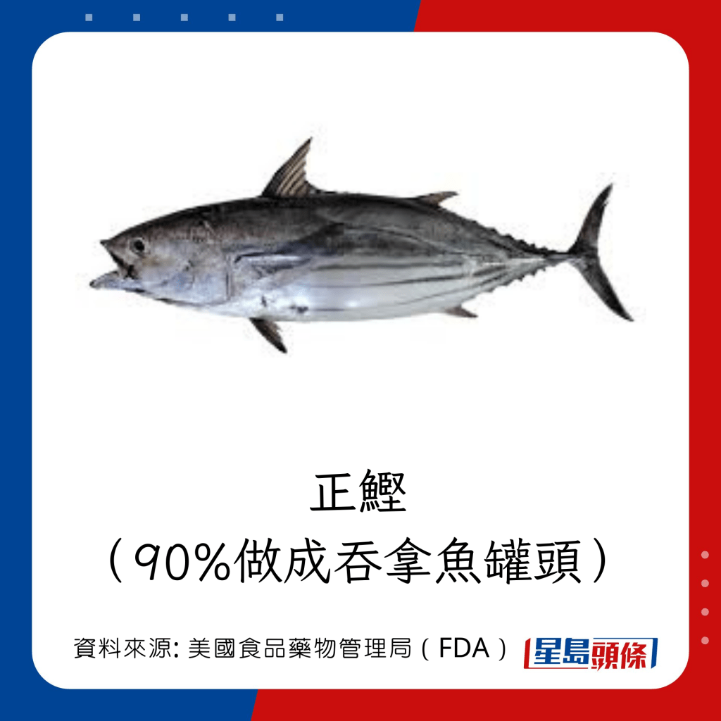 低水銀魚類 ：正鰹