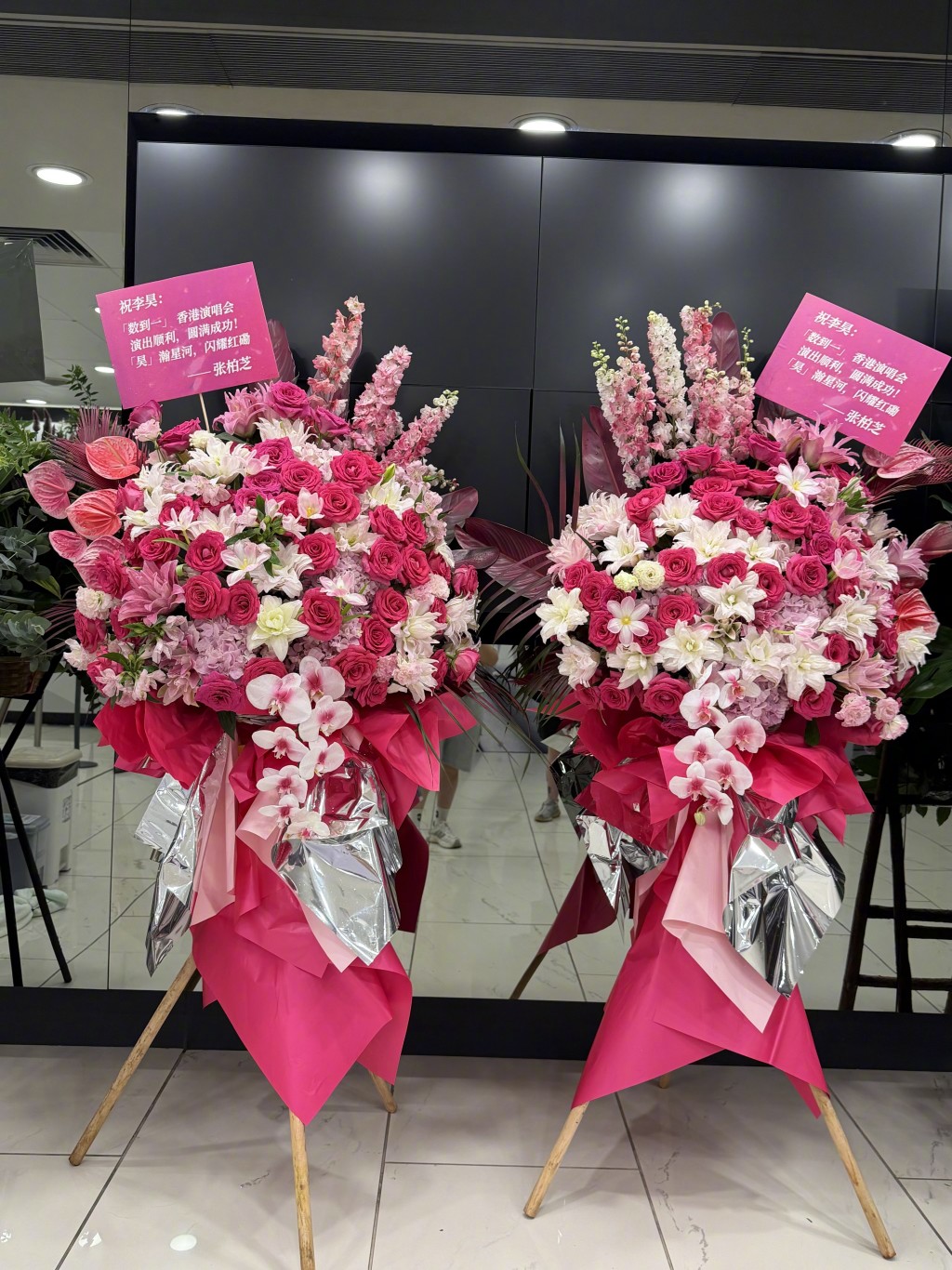 張柏芝
