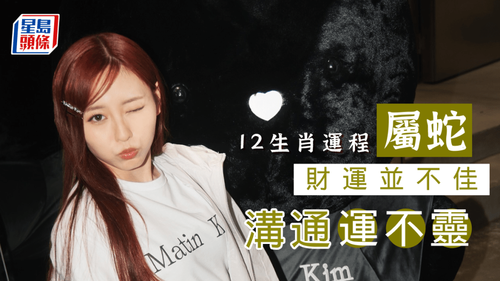 生肖運程|屬蛇財運不佳 溝通運不靈 帳目分明免爭議 協議合同要格外留神