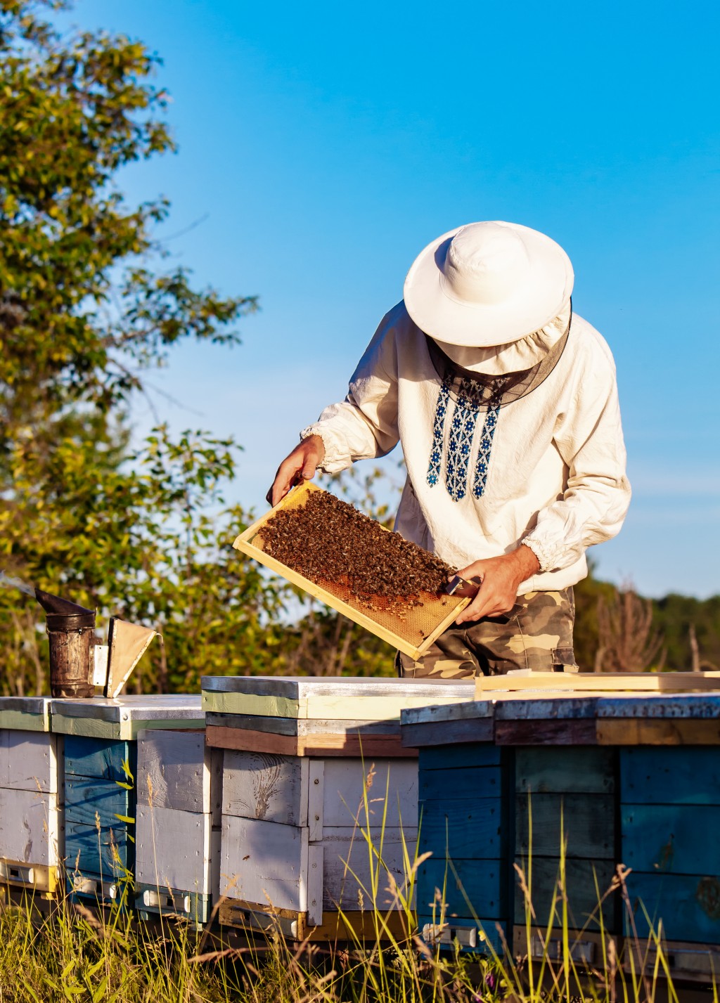 因此，农场须向蜜蜂养殖场选购授粉服务，养蜂人就会将一箱箱的蜜蜂送到农场，展开授粉工作。 