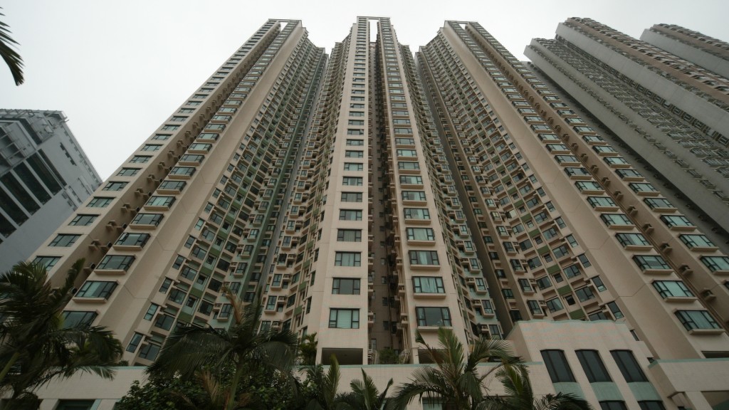 青衣2及3歲小兄弟被放入狗籠 32歲印傭涉虐兒被捕。資料圖片