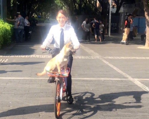 相片中的陳喬恩看來好像自己發光,仿如仙女下凡。