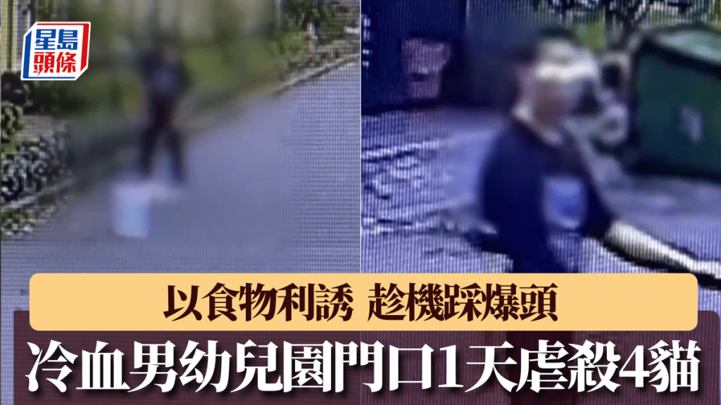 冷血男幼兒園門口1天虐殺4隻貓，僅被公安思想教育。