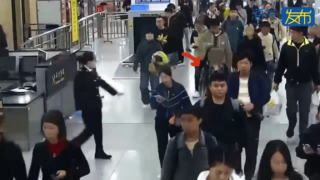 背包藏59只“橙红陆寄居蟹”,内地女拱北闯关断正。 背包藏59只“橙红陆寄居蟹”,内地女拱北闯关断正。