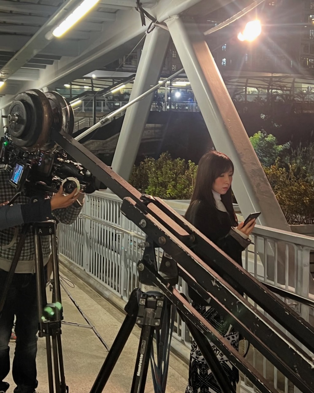 譚嘉儀全程親身上陣,勇氣可嘉。 譚嘉儀全程親身上陣,勇氣可嘉。
