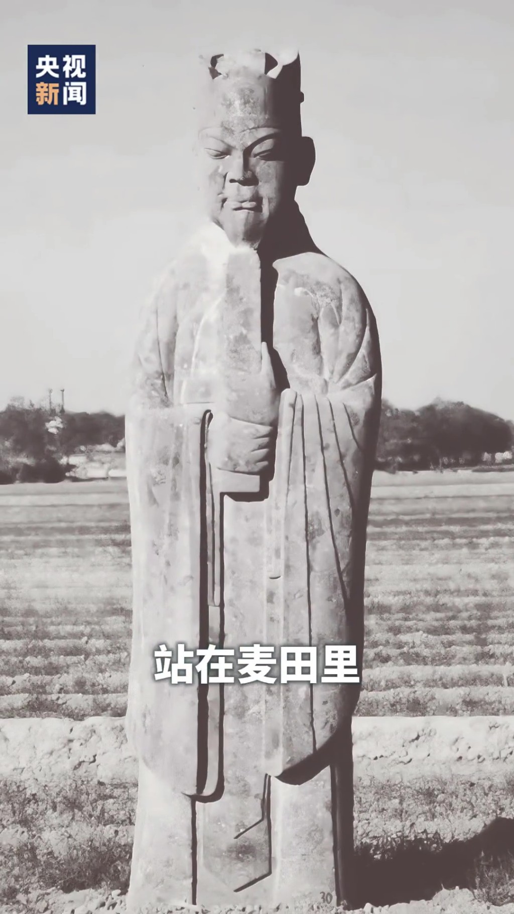 文官像原貌。央视