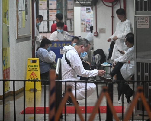 尖沙嘴帝樂文娜公館及深水埗東廬大樓A座730人強檢零確診。