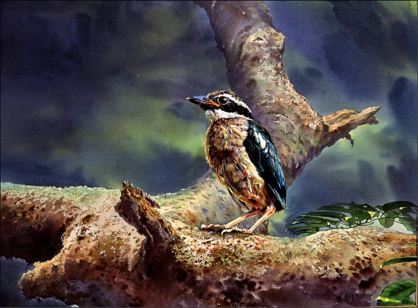 台湾画家杨恩生作品。