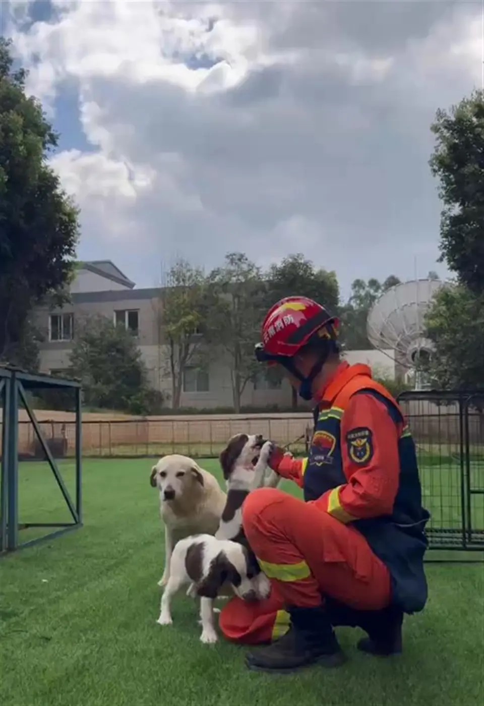 雲南消防搜救犬訓練基地。　雲南消防