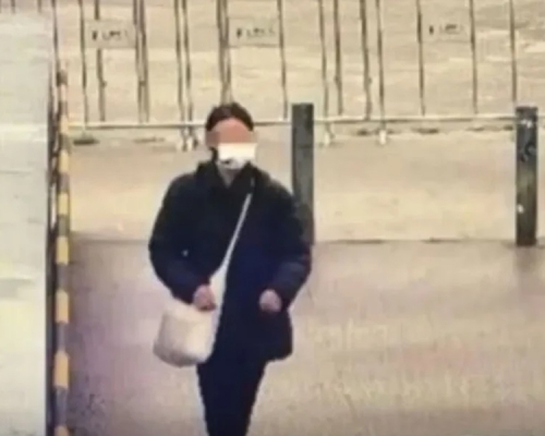 膽大醫院女竊賊楊女。網圖