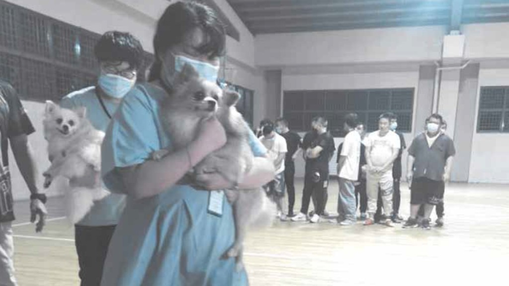 行動中救出超過一百人。網圖