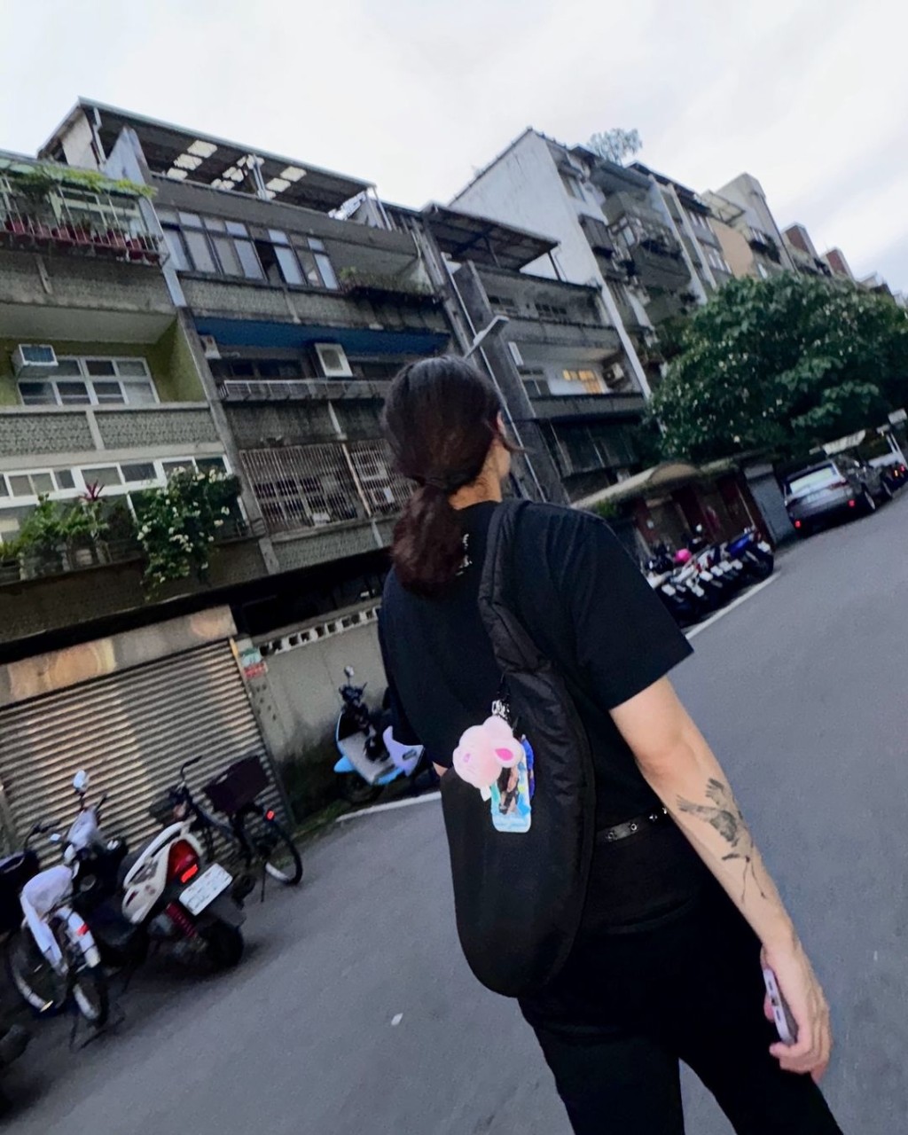 但鹤The Crane于19岁时不幸罹患甲状腺癌,手术后得以恢复健康。 但鹤The Crane于19岁时不幸罹患甲状腺癌,手术后得以恢复健康。