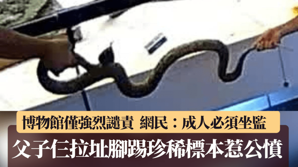 CCTV拍下破壞王一家拿起瀕危動物標本玩鬧的過程。