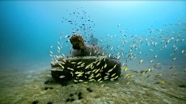 短片《你带我沉到深海》，展示曾经的军用坦克现成为了人造珊瑚礁，喻意当环境变化作出的适应行为。