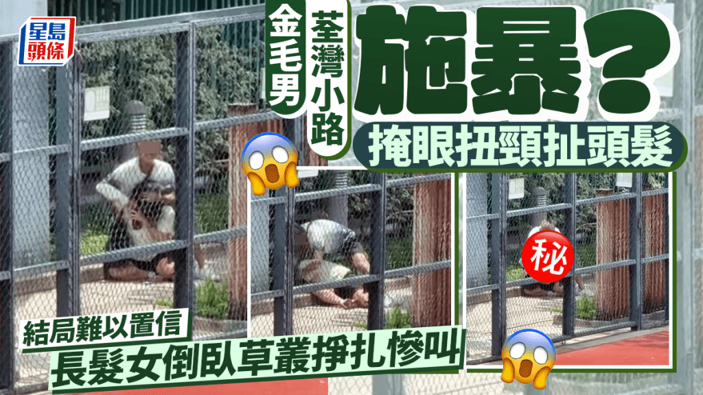 金毛男荃灣小路施暴？ 掩眼扭頸扯頭髮 長髮女倒臥草叢掙扎慘叫 結局難以置信