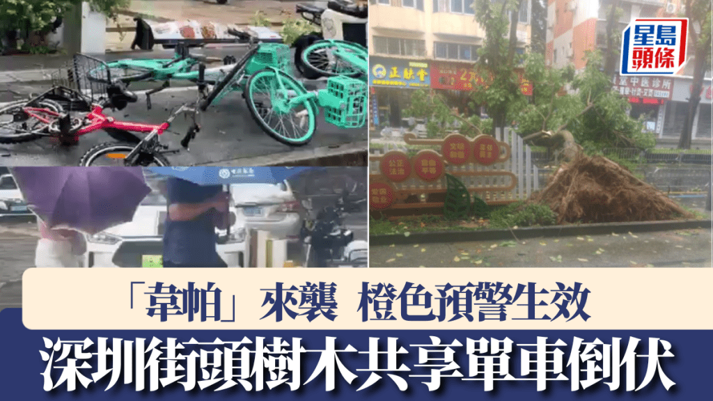 韋帕颱風吹襲下，深圳街頭樹木、共享單車倒伏。 