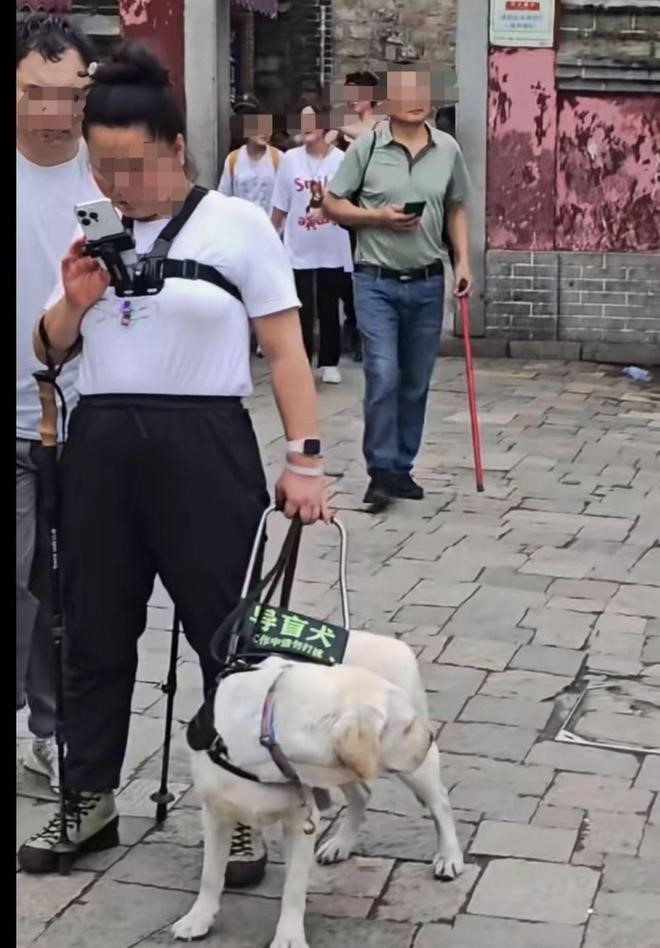 盲女帶導盲犬爬泰山惹虐待爭議。網易＠素衣讀史 