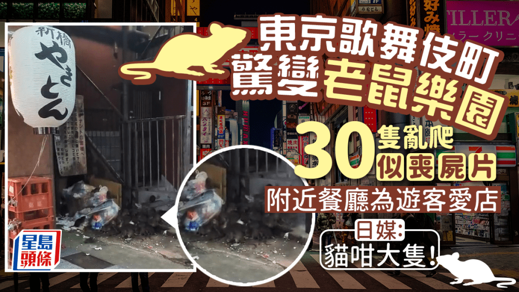東京歌舞伎町驚變「老鼠樂園」 30隻亂爬似喪屍片 附近餐廳為遊客愛店 日媒: 最大有貓咁大隻！