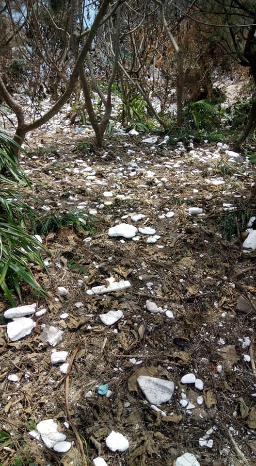 fb專頁「浪行山野 Hiking Wave」