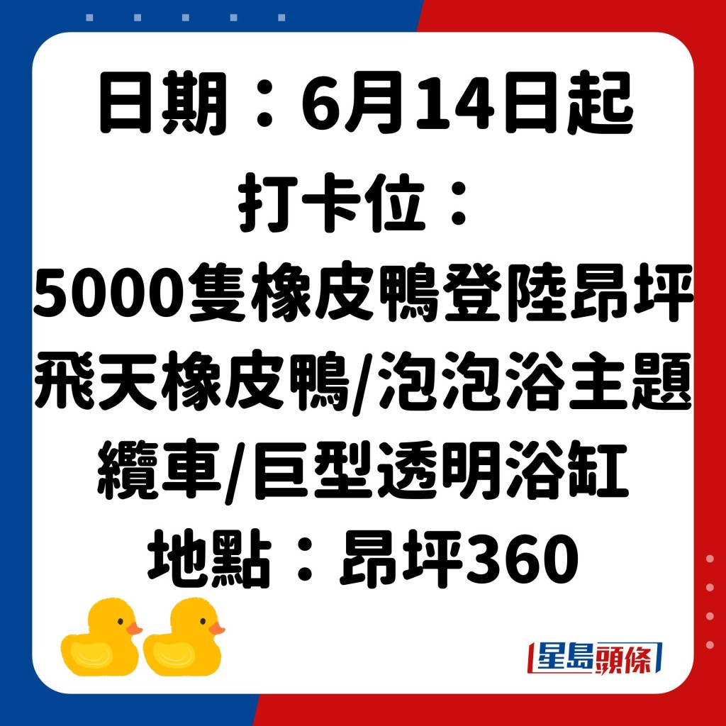 巨型黄鸭维港亮相 全港打卡位懒人包